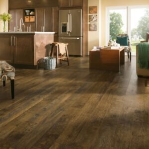 Armstrong Flooring Forest Treasure Rigid Core – Brown