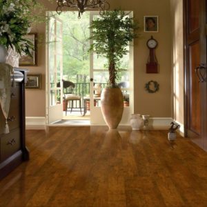 Armstrong Flooring Laminate  Candied Cherry
