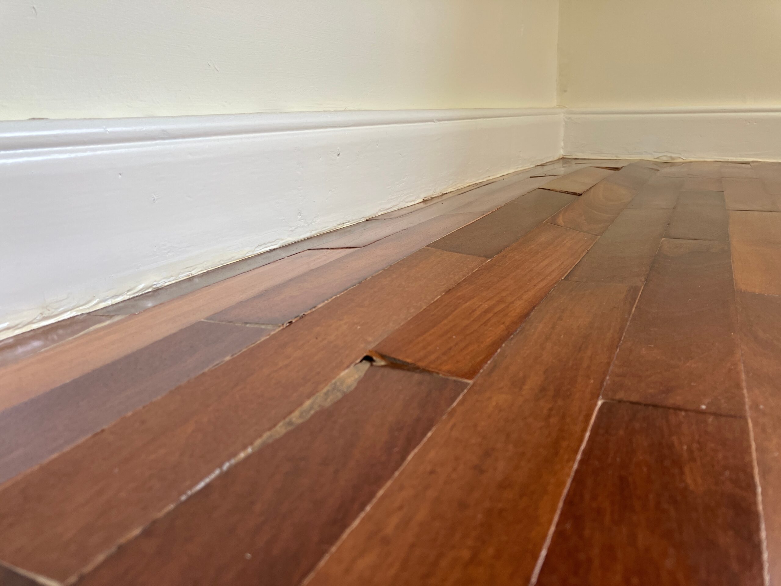 Hardwood Floor Water Damage