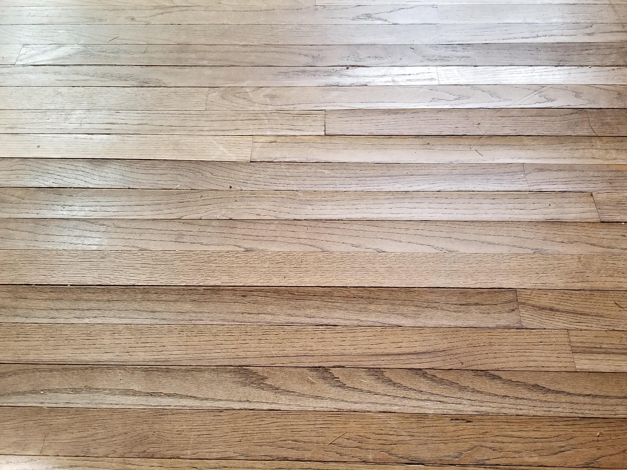 Cupped hardwood floor planks after water damage, edges raised above the center