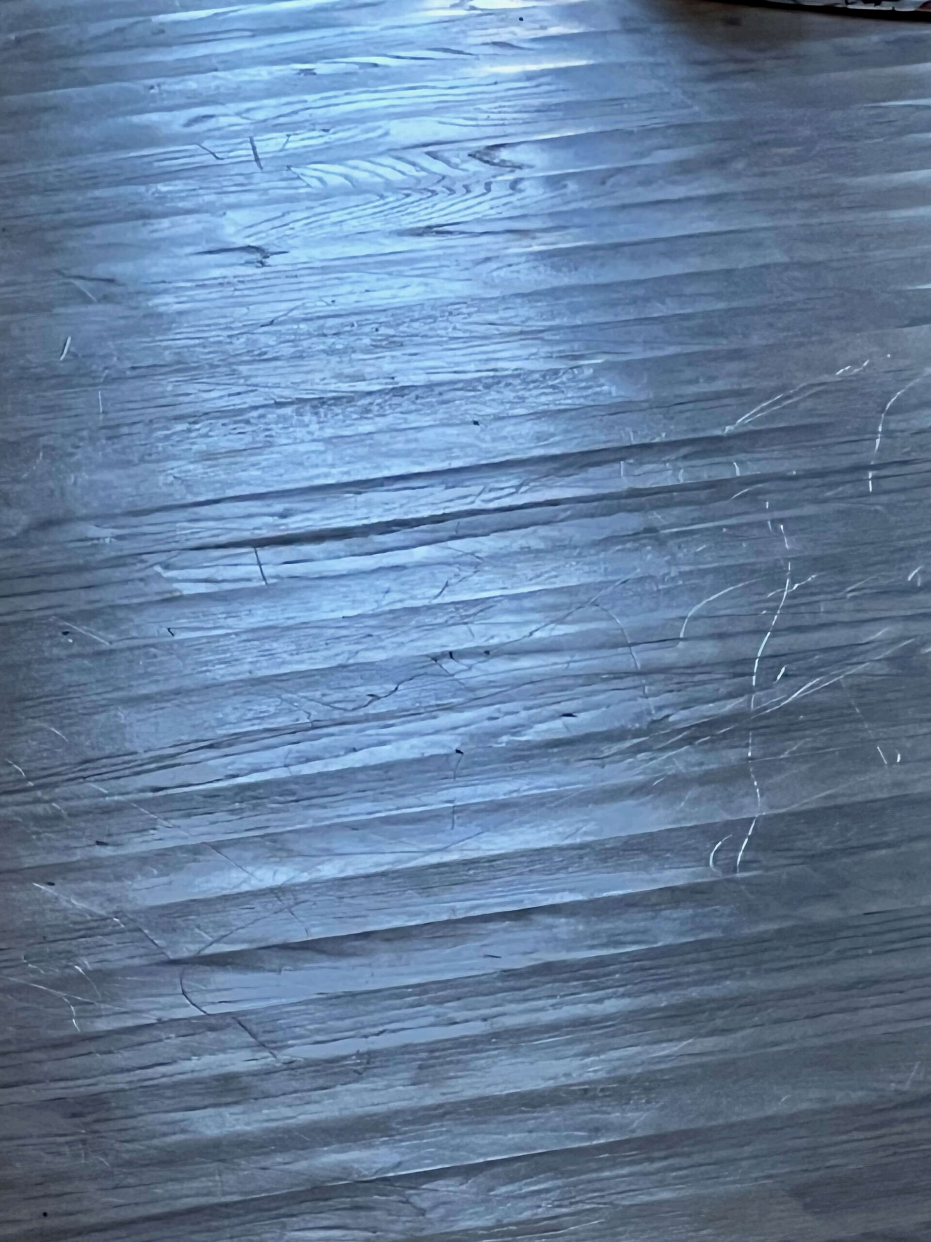 Cupped hardwood floor holding moisture underneath